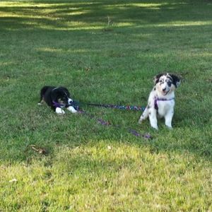 Meet your Posher, Nana